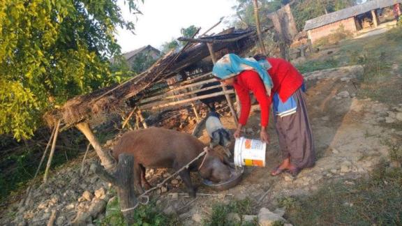 Angel plans to expand her pig-raring business with support from the Futuremakers project.